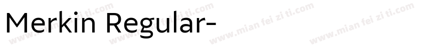 Merkin Regular字体转换